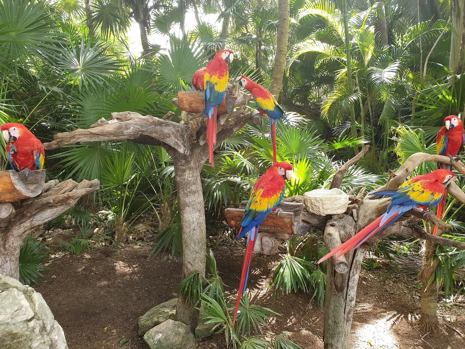 Xel-Ha Park