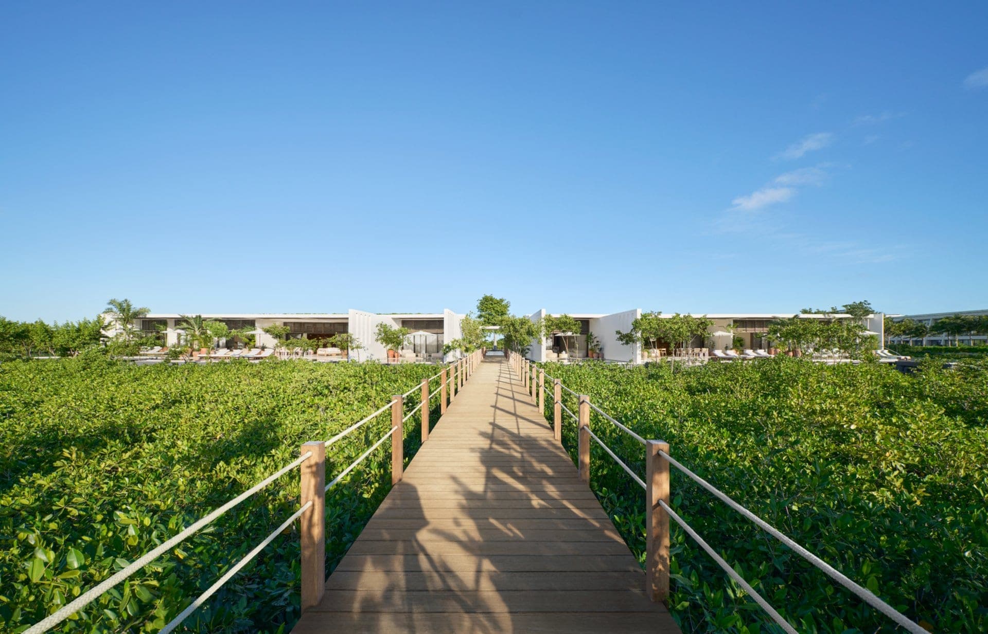 Beachfront Premier Room at The Riviera Maya EDITION at Kanai 3